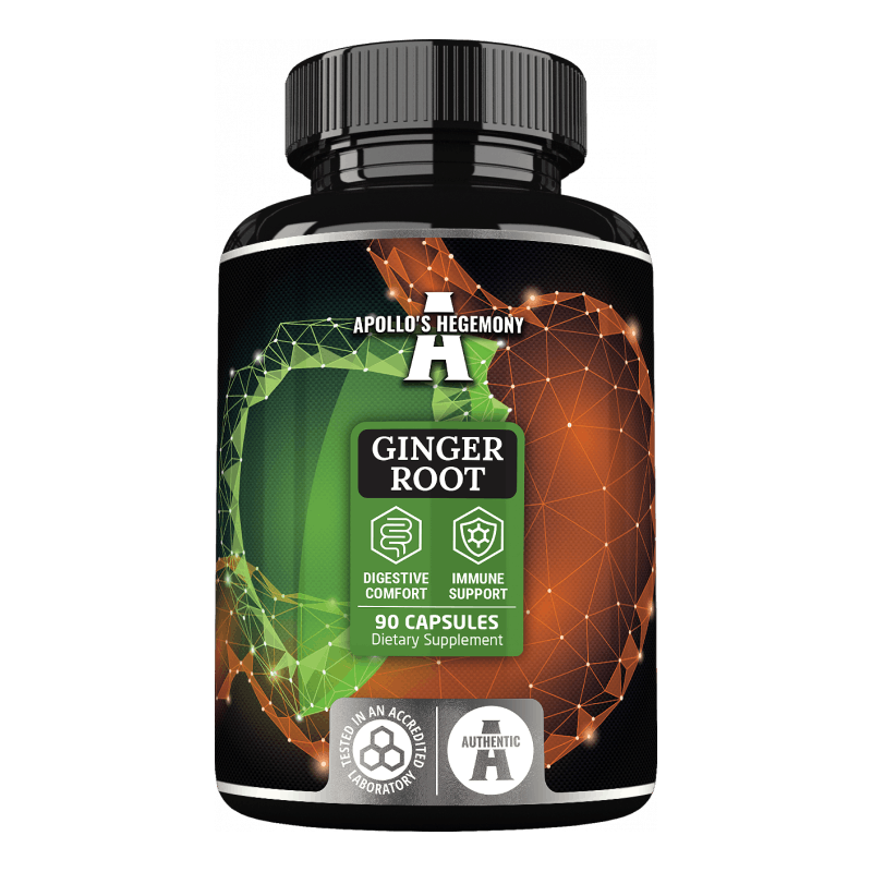 Ginger Root (Ekstrakt z imbiru)